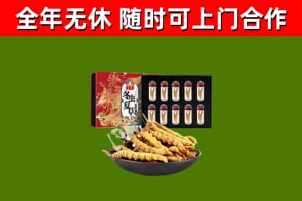 和田烟酒回收冬虫夏草礼盒.jpg