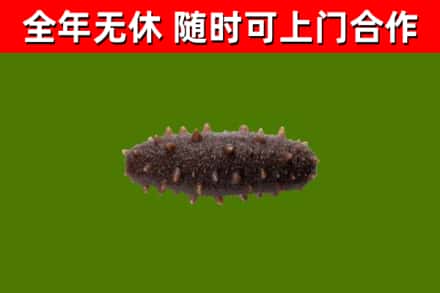 和田烟酒回收干海参.jpg